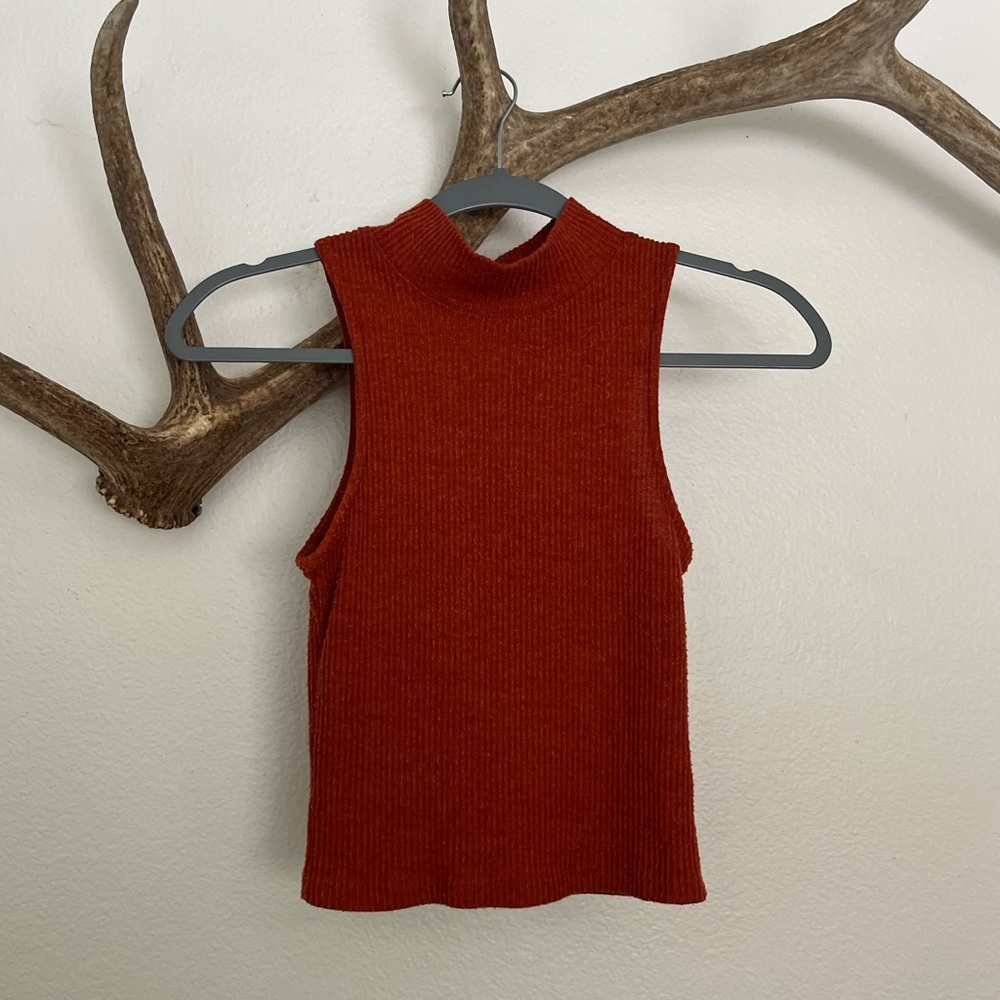 John Galt / Brandy Melville sweater tank